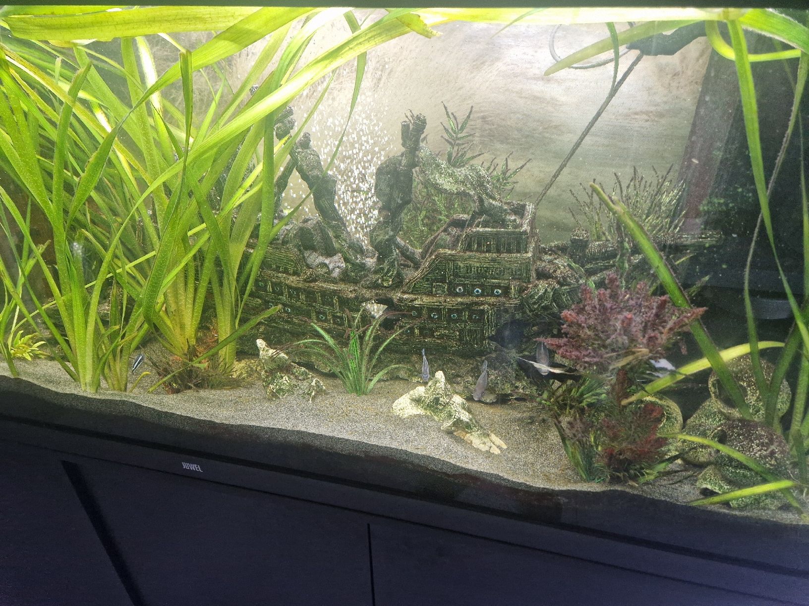 Juwel Aquarium: Juwel Rio 450 Koplett Set – Gebraucht aus Etzgen von kor_mq6d 3