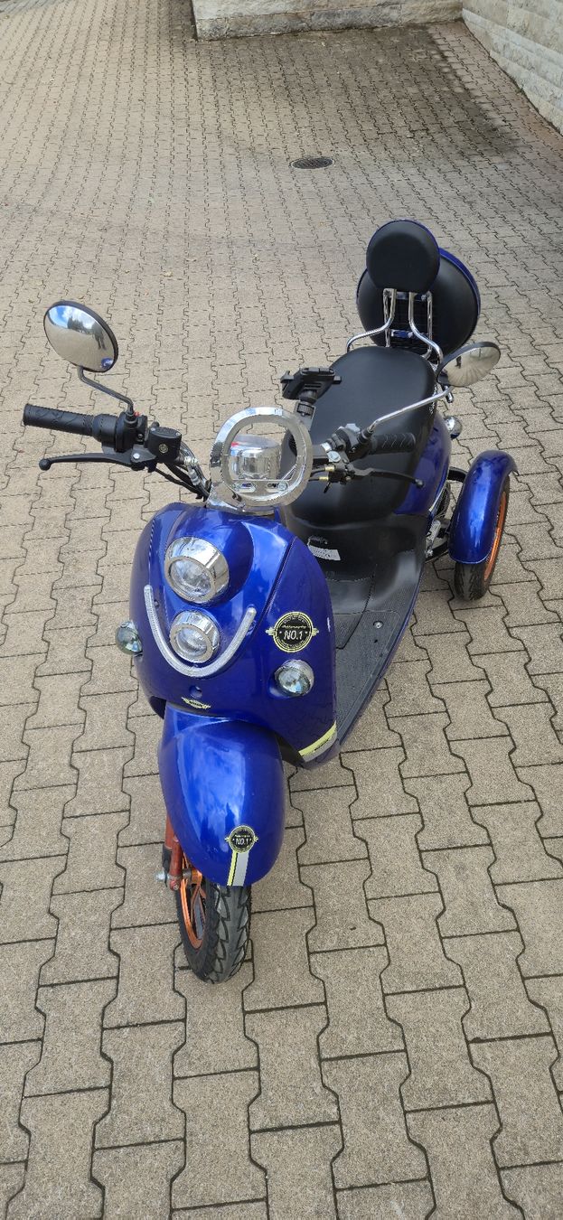 Veicoli elettrici: Elektro-Scooter – Difettoso da Schleinikon venduto da Johni2850