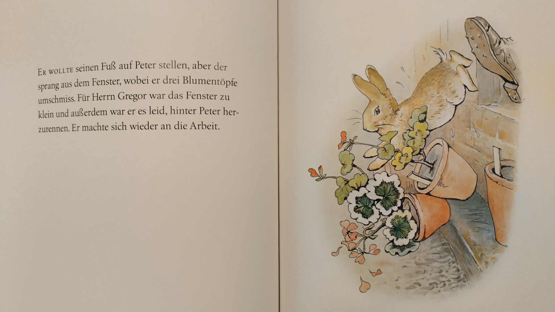 Libri: Die Geschichte von Peter Hase / Beatrix Potter / Bilderbuch – Usato da Bellach venduto da JingleJerry 7