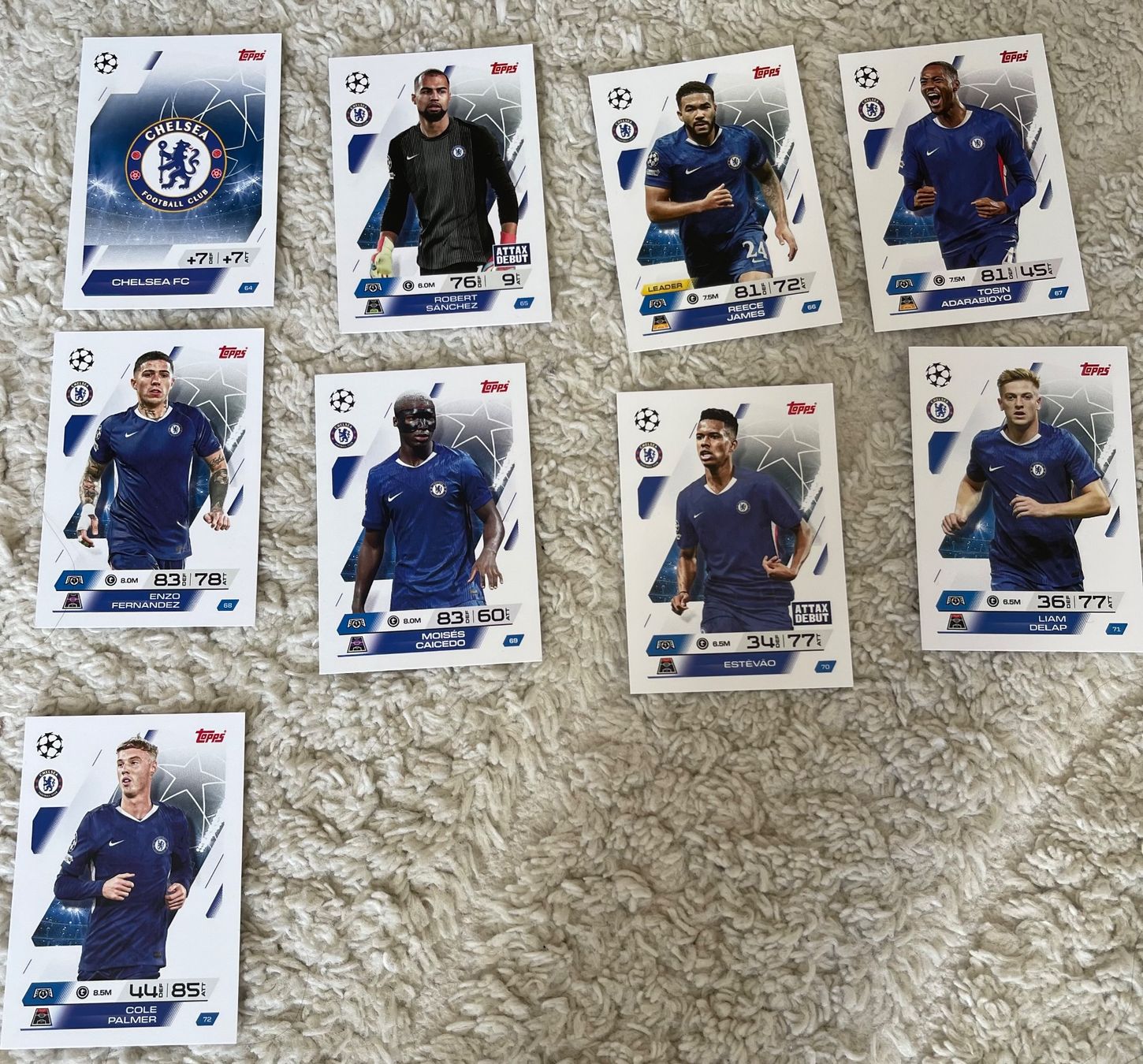Topps Carte collezionabili: Match Attax 2025/2026 – Usato da Wohlen b. Bern venduto da Moreira75 9