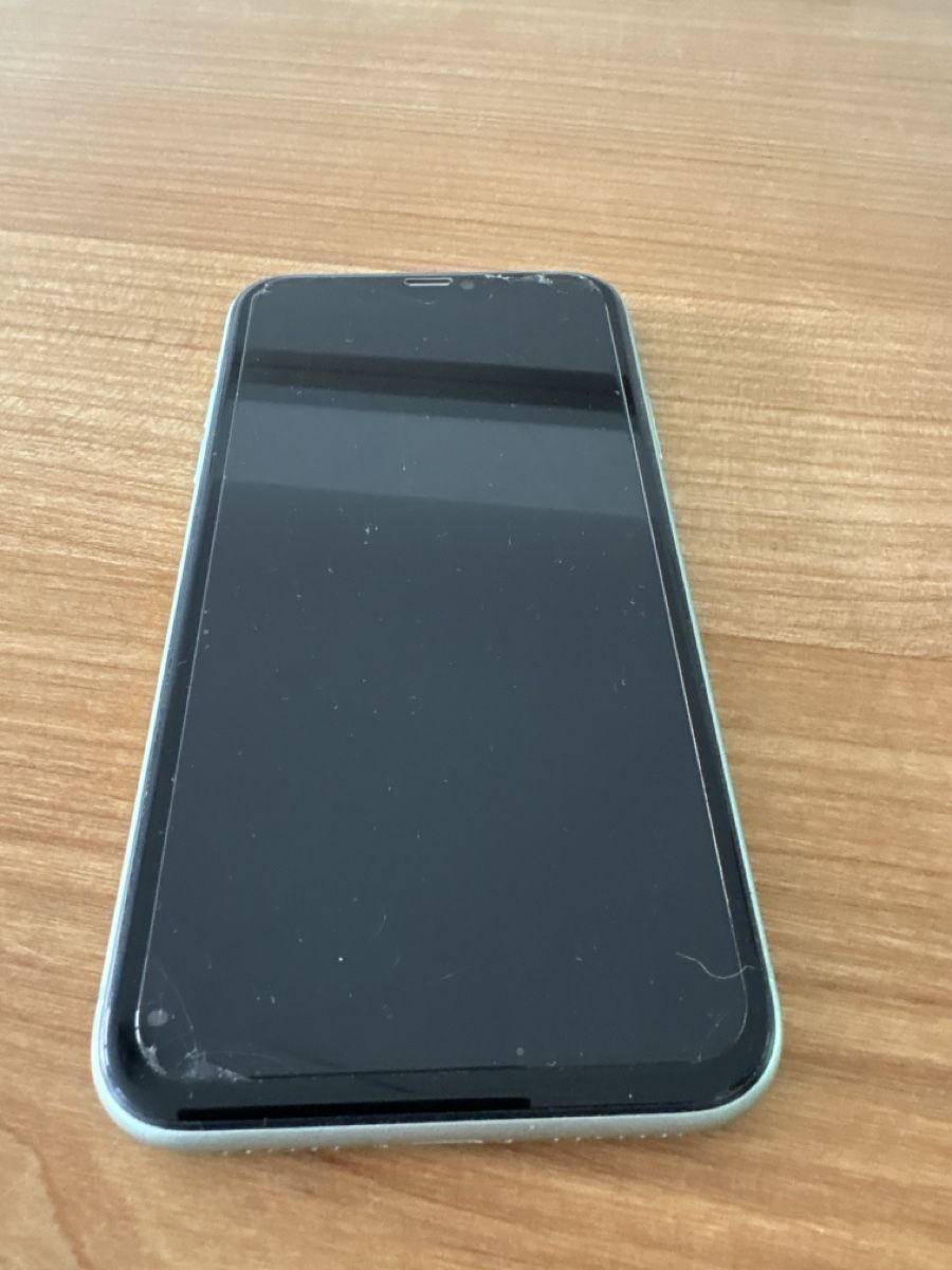 Apple Telefoni cellulari / Smartphones: Apple iPhone 11 64GB Green – Usato da Rutschwil venduto da Bema1 1