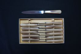 Neues Messerset 12 teilig, Vintage im original Karton