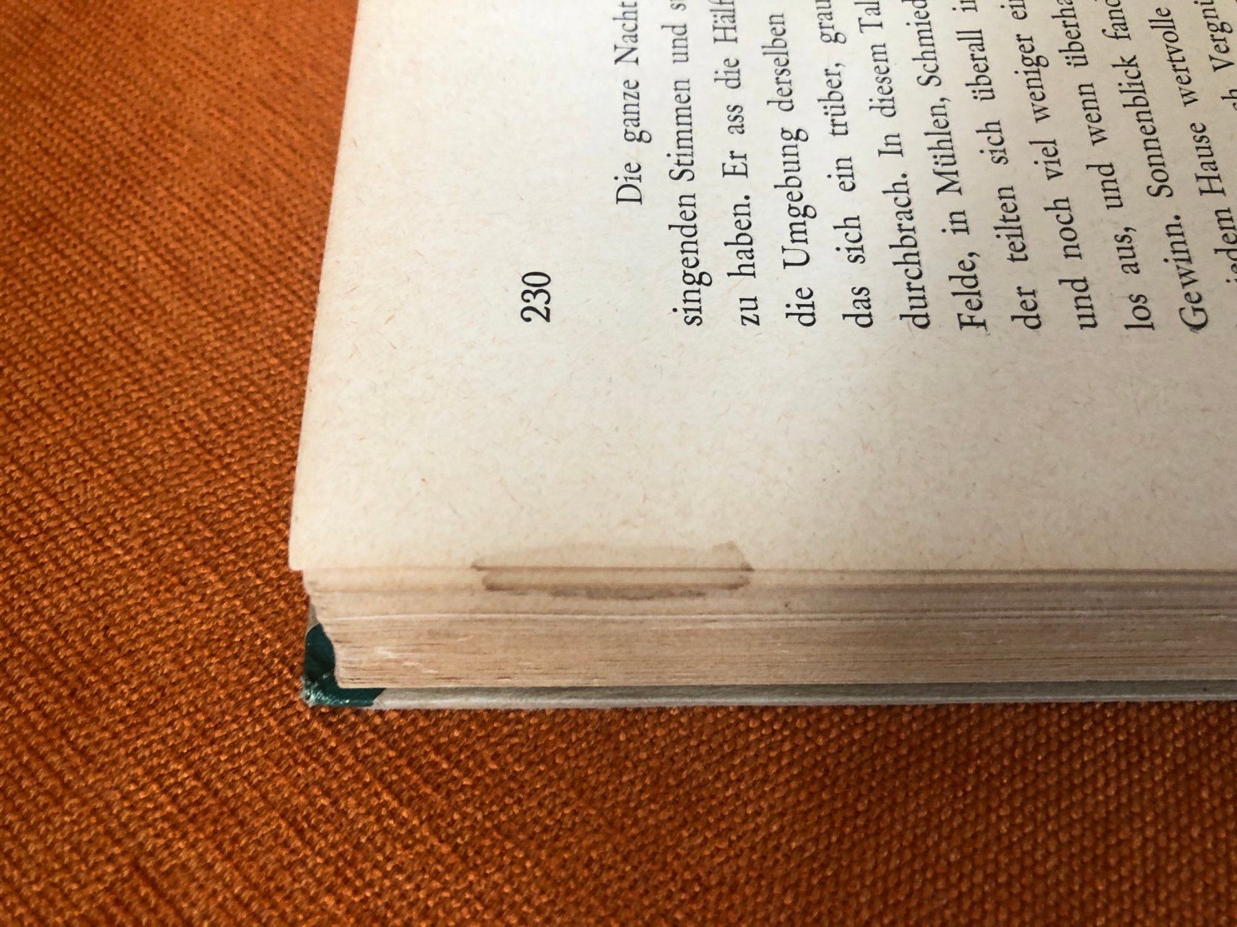Libri: antikes Kinderbuch, schweizer Jugendschatz ca. 1930 – Usato da Buchs ZH venduto da krenzi 8