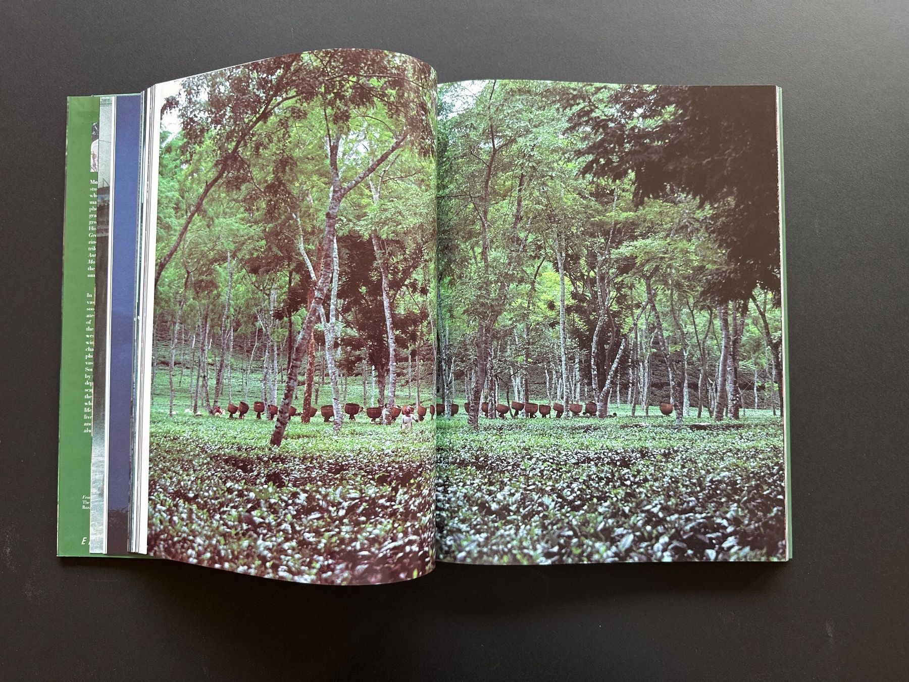 Libri: Photo Buch Monsoon – Usato da Brügg BE venduto da Jeepeeone 3