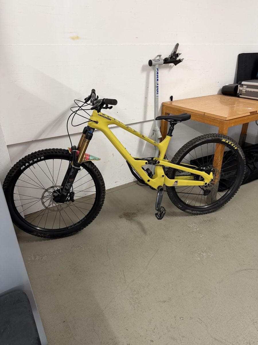 Cannondale Velos: Cannondale Jekyll 1 Ginger - L – Gebraucht aus Wädenswil von Sascha1998