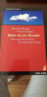 Steve de Shazer - Mehr als nur ein Wunder