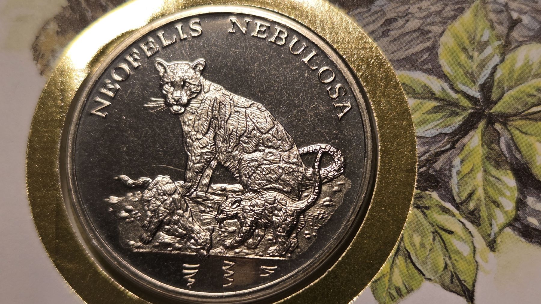 Medaglie: 1995  Medallienbrief WWF Nebelparder – Usato da Arni AG venduto da Moth68 2