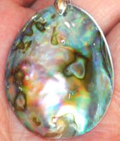 Anhänger L-5504 – Abalone Muschel 35x27mm