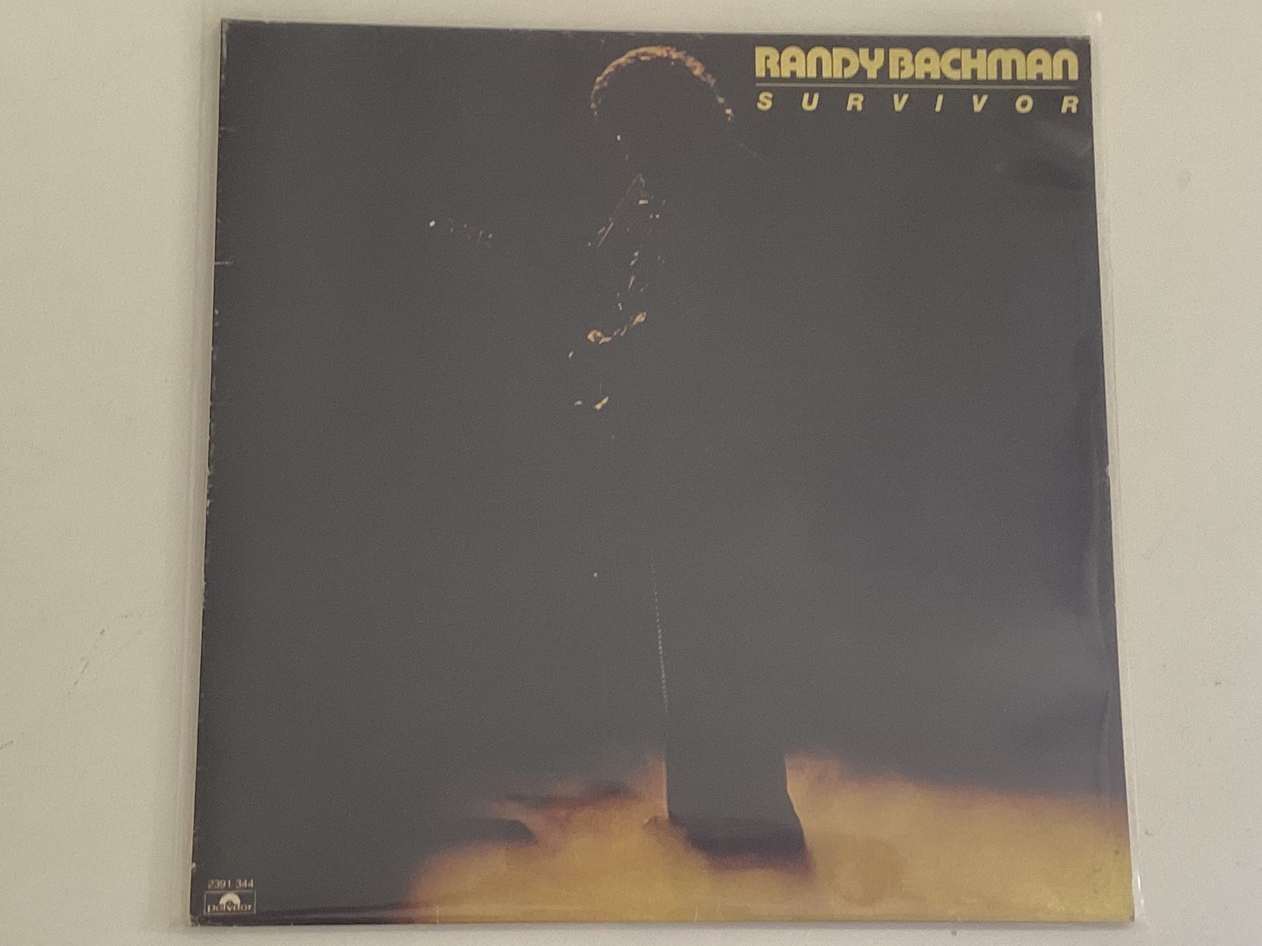 Vinyles: Randy Bachman LP - Survivor – D'occasion à Gutenswil par Hamzian