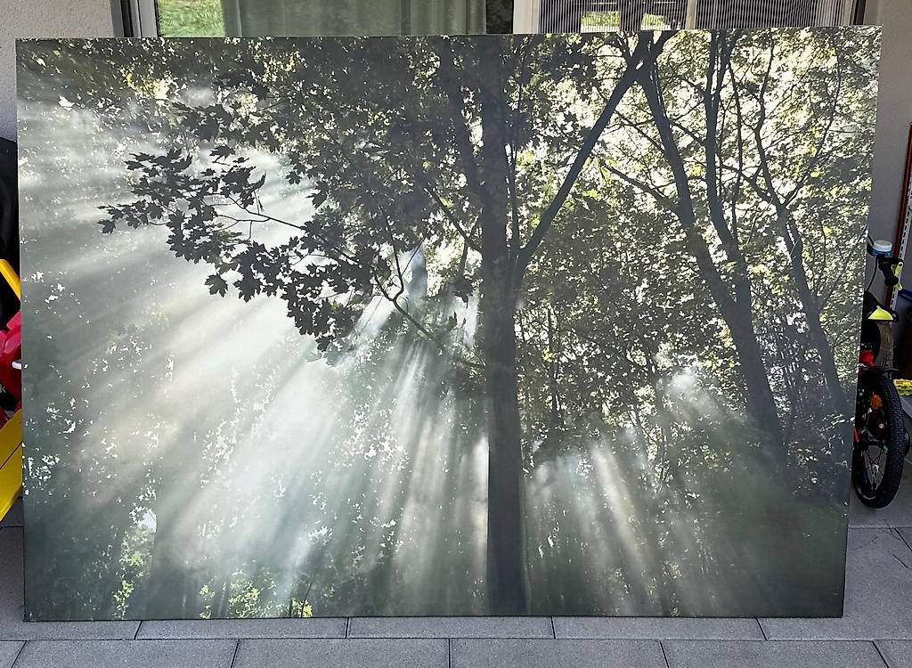 Foto & Immagini: Wandbild – Usato da Orpund venduto da sal_km6z