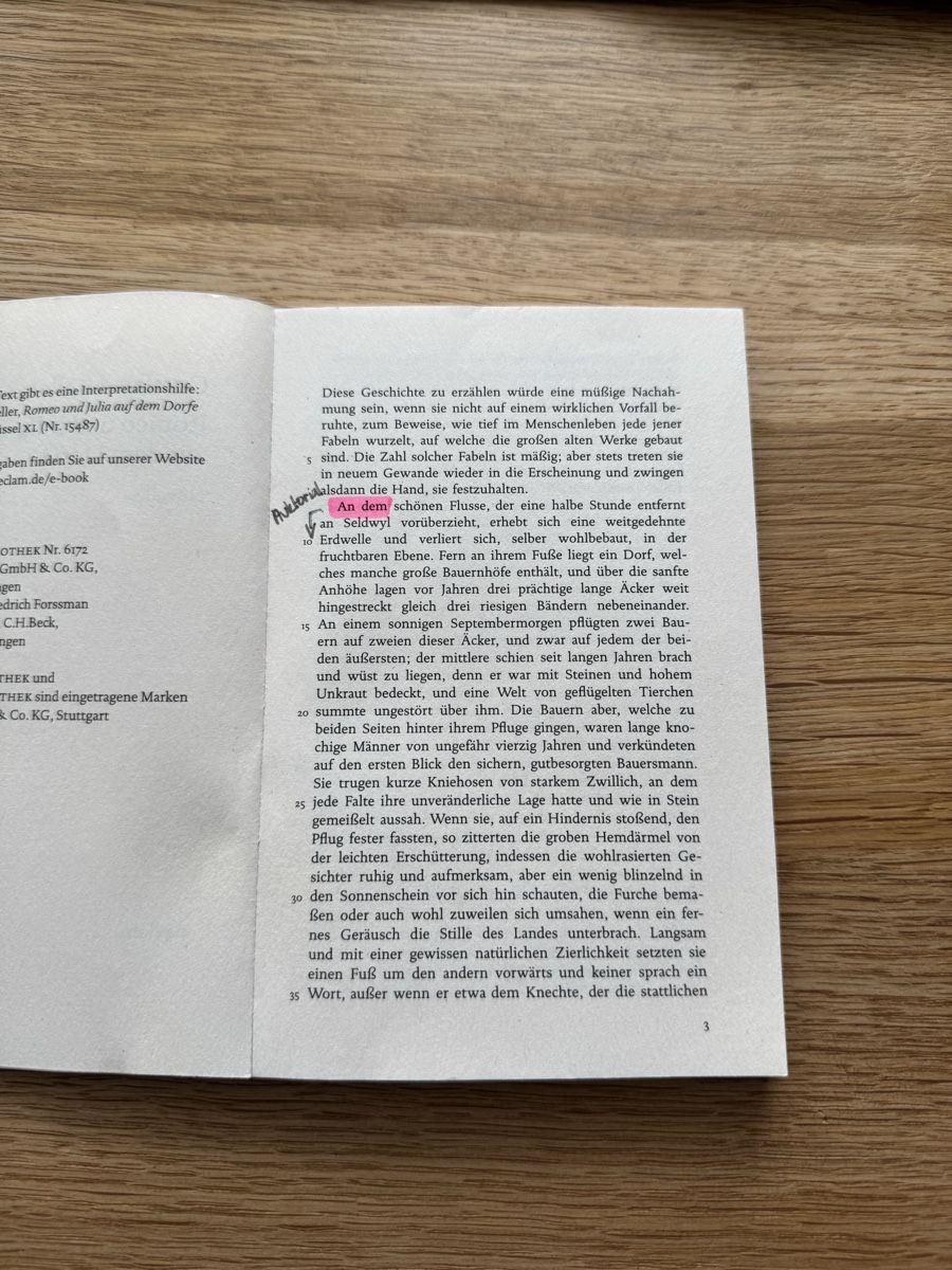 Libri: Romeo und Julia auf dem Dorfe – Usato da Tagelswangen venduto da Isa036 2
