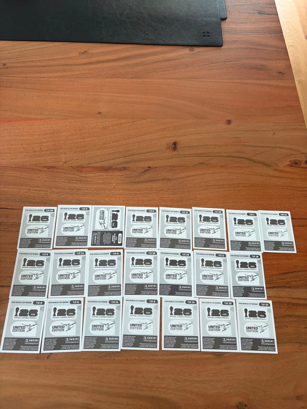 Panini Carte collezionabili: Panini Türkei TUR – Usato da Solothurn venduto da rah_g92d 1
