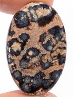 Cabochon L-2265 – Viper Jaspis 29x19x3mm – 18,5 Karat
