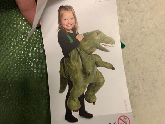 Costumes: Kostüm Kinder Dino – D'occasion à Baden par beb_kw7v 2