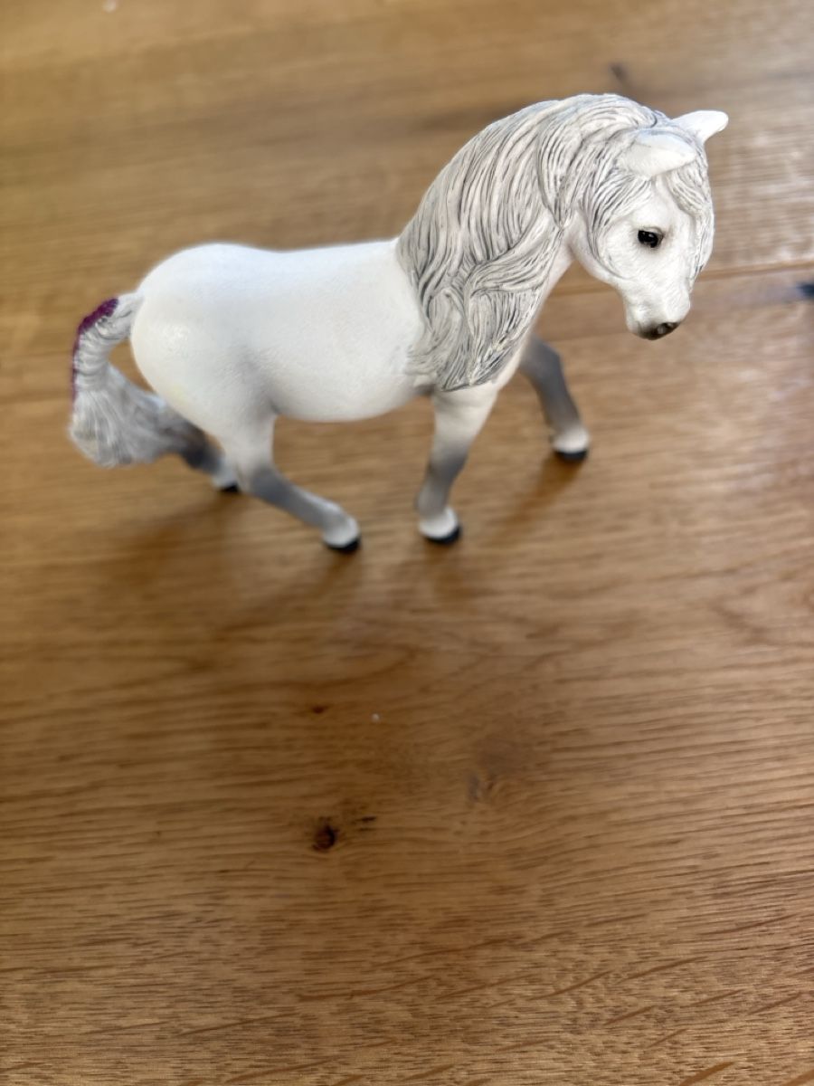 Schleich Giocattoli: Schleich Pferde mit einem Halsring(8) – Nuovo (secondo la descrizione) da Meiringen venduto da enilorac2000 1
