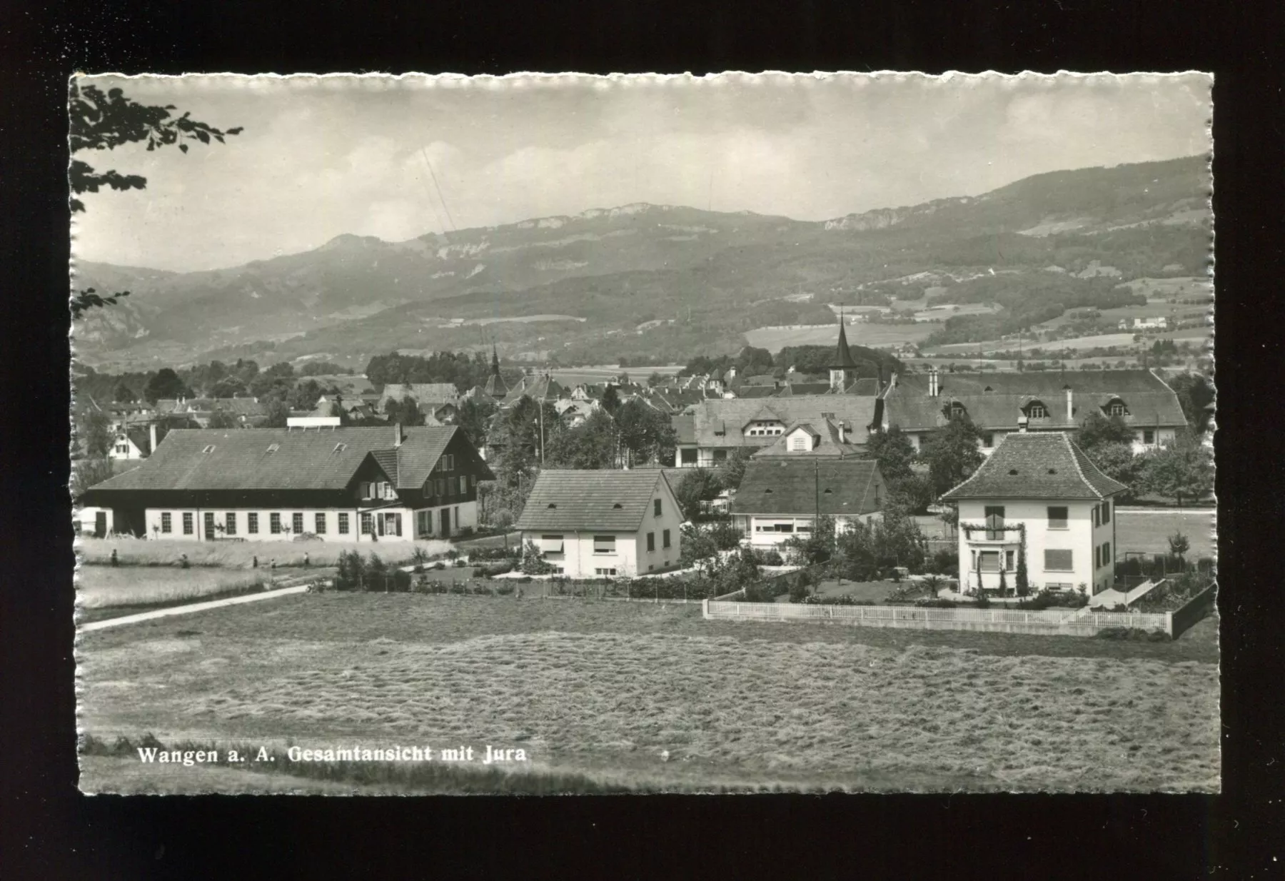 Ansichtskarten: Wangen a. A. – Gebraucht aus Aarau von Elmaar41