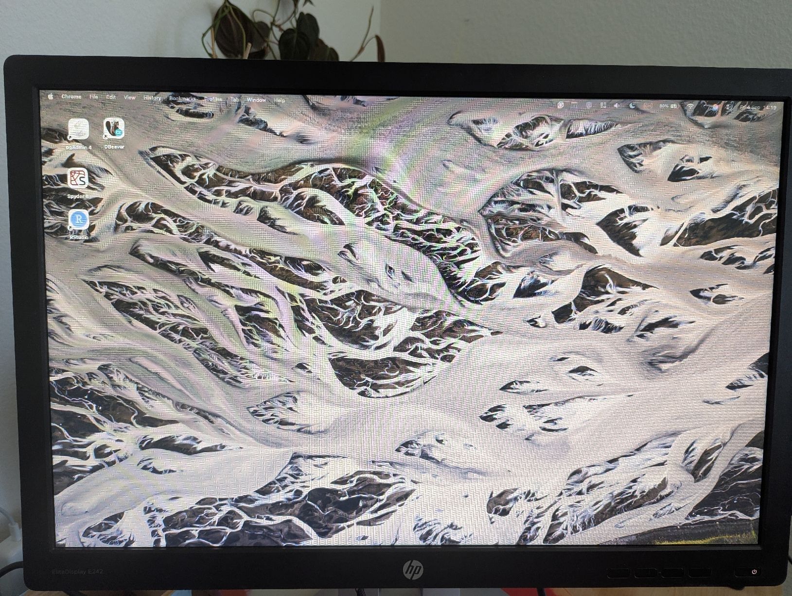 Hewlett Packard Monitor: HP EliteDisplay E242 – Usato da Zofingen venduto da Droni_A 4