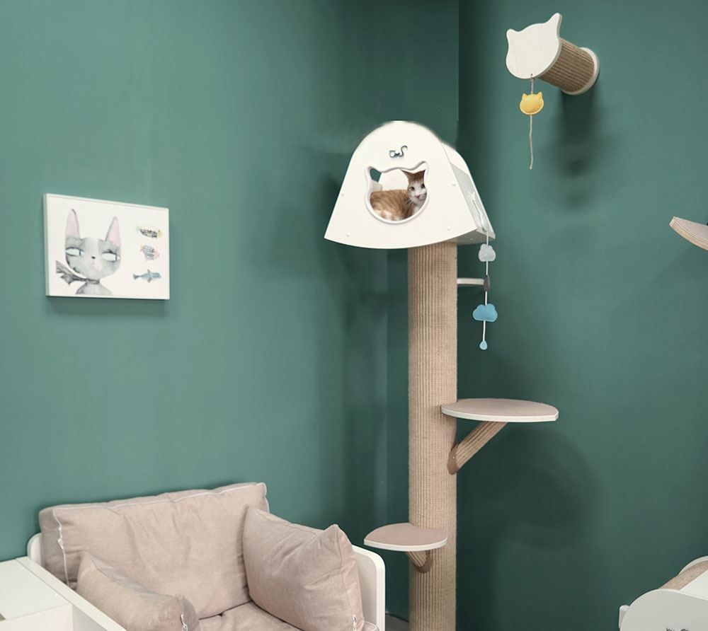 Liege- & Schlafplätze: CatS Kletterwand große Katzen stabil ... – Neu und originalverpackt aus Mönchengladbach von Zoopplier 5