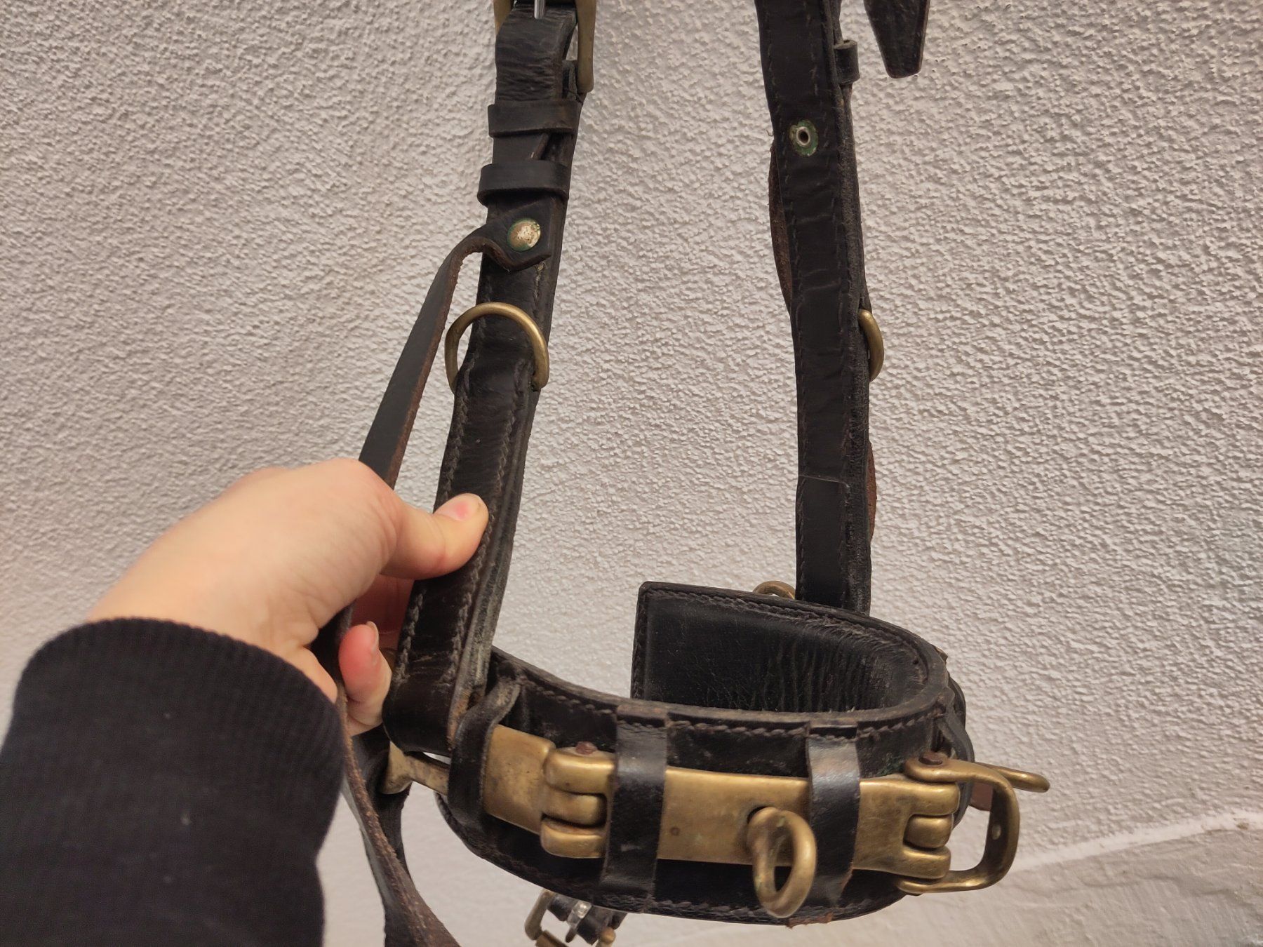 Zaumzeug & Halfter: Kappzaum Leder mit Bronzeelementen – Full – Gebraucht aus Zürich von Bischosa 1