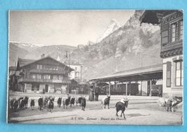 Zermatt - Bahnhof - Eisenbahn