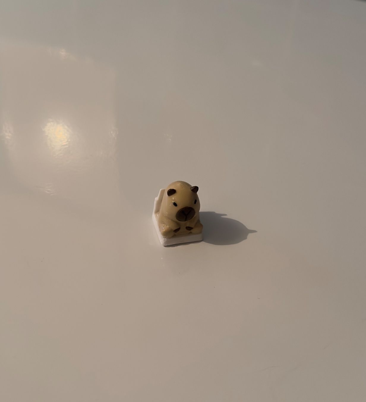 Tastiere: Capybara Keycap (Süss, lustig, einfach klasse) – Nuovo (secondo la descrizione) da Schindellegi venduto da SimplyBuy-CH