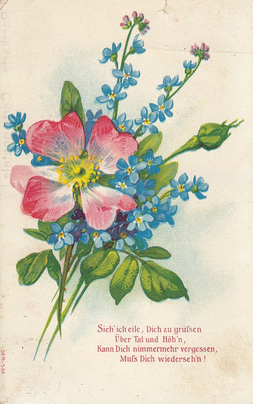 Cartoline postali: 4.10.1909 Postkarte Tellknabe 119 Type 1 – Usato da Spreitenbach venduto da Mustang_1105 1