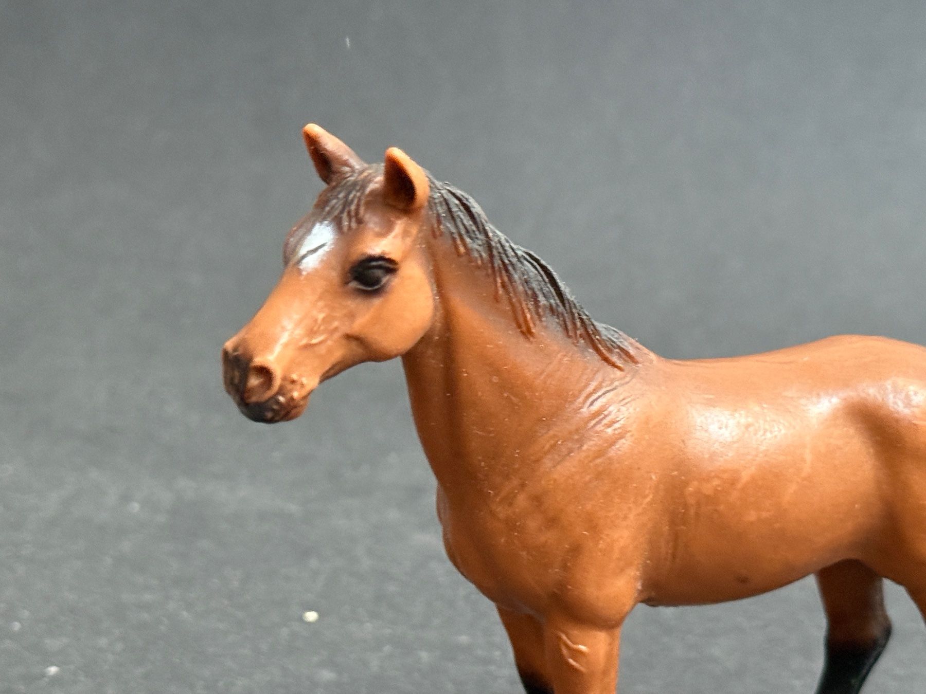 Schleich Figuren: Schleich 13261 Trakehner Stute Pferd – Gebraucht aus Ennetbaden von mapa05 2