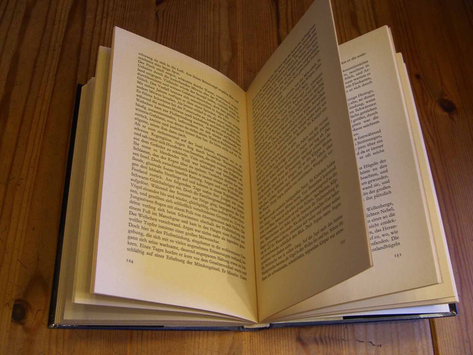 Bücher: Argen die Möwe, von H. u. G. Panske – Gebraucht aus Winterthur von Ghandi5 2