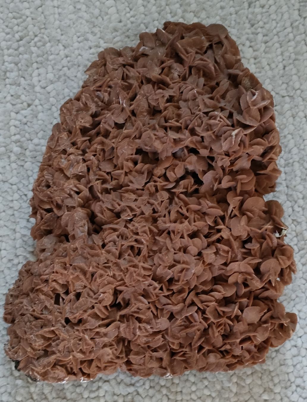 Fossili: Rose des Sables Wüstenrose 8.6kg – Usato da Riaz venduto da Tobydesmonts 4