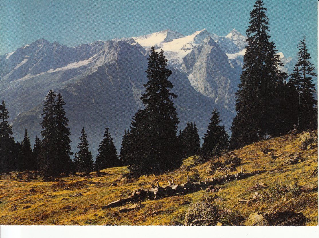 Cartoline postali: Mägisalp, ca. 1970 – Usato da Bürglen TG venduto da StampGraf