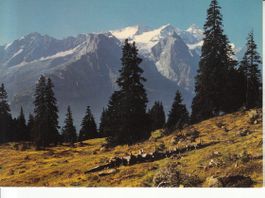 Mägisalp, ca. 1970