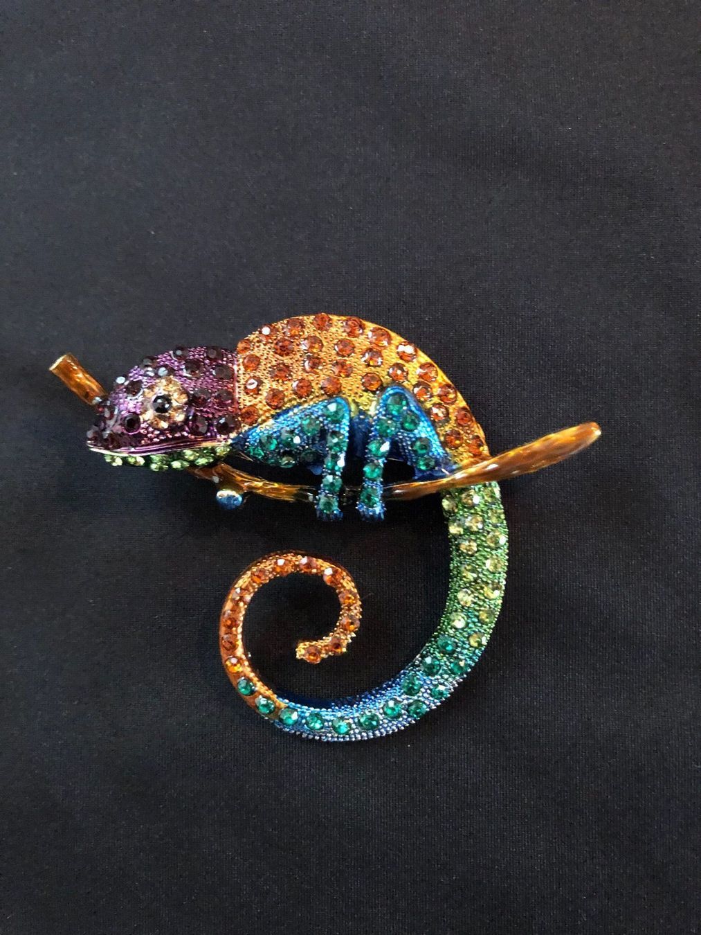 Spille & Fermagli: Chameleon Brosche (Anhänger) – Nuovo (secondo la descrizione) da Gams venduto da Mariawicca