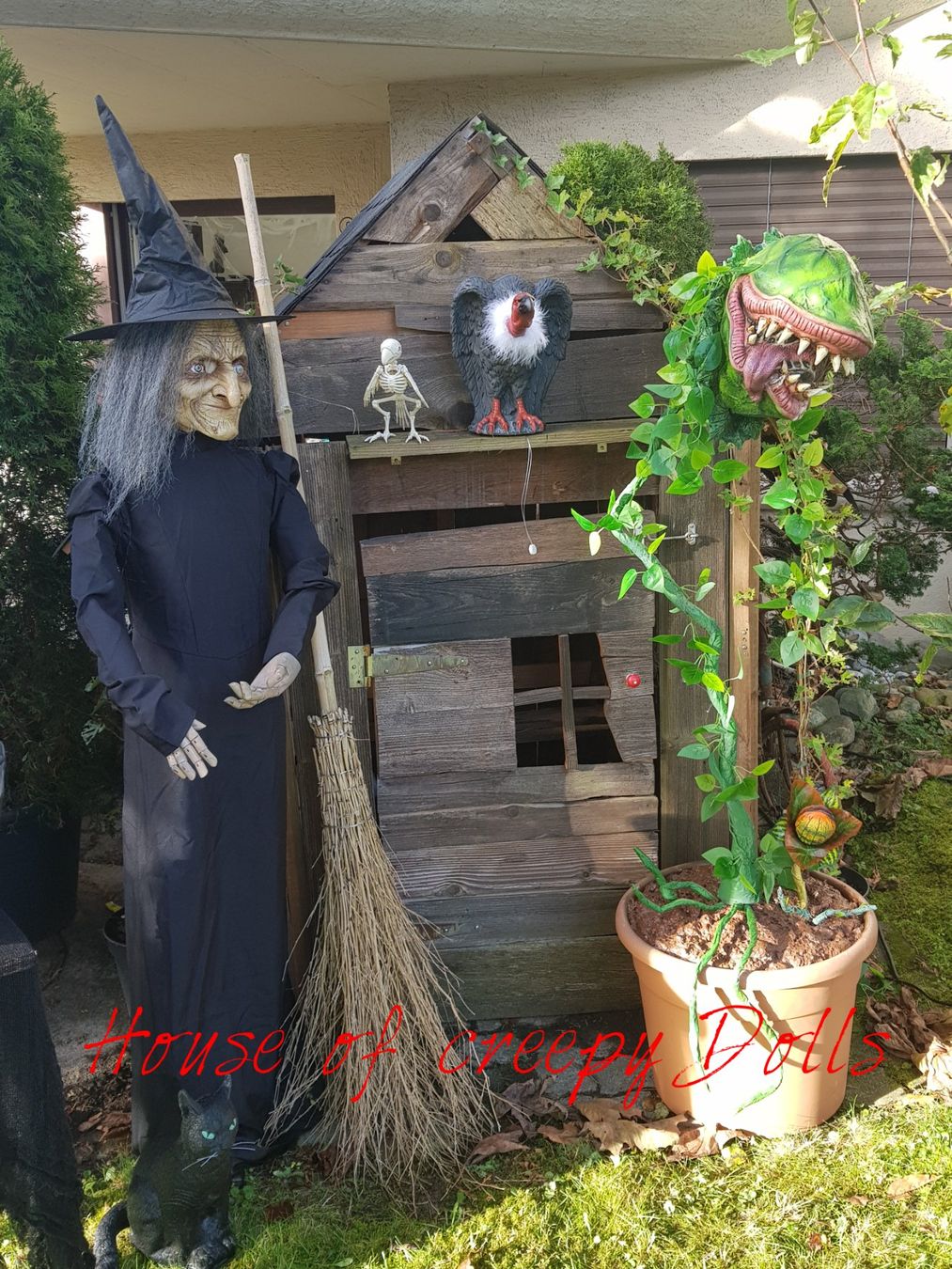 Alle Dekorationen: HALLOWEEN/ HORROR FLEISCHFRESSENDE PFLANZE – Neu und originalverpackt aus Root von LifestyleAccessoires 1