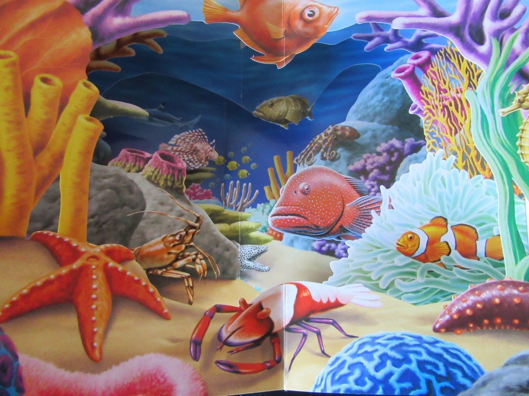 Libri: Pop - Up Buch Scenari 3D Oceani – Usato da Rüdtligen venduto da Carfield04 2