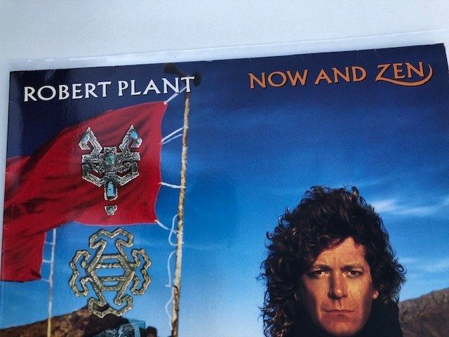 Dischi in vinile: Led Zeppelin – Usato da Aarwangen venduto da Jukebox3 1