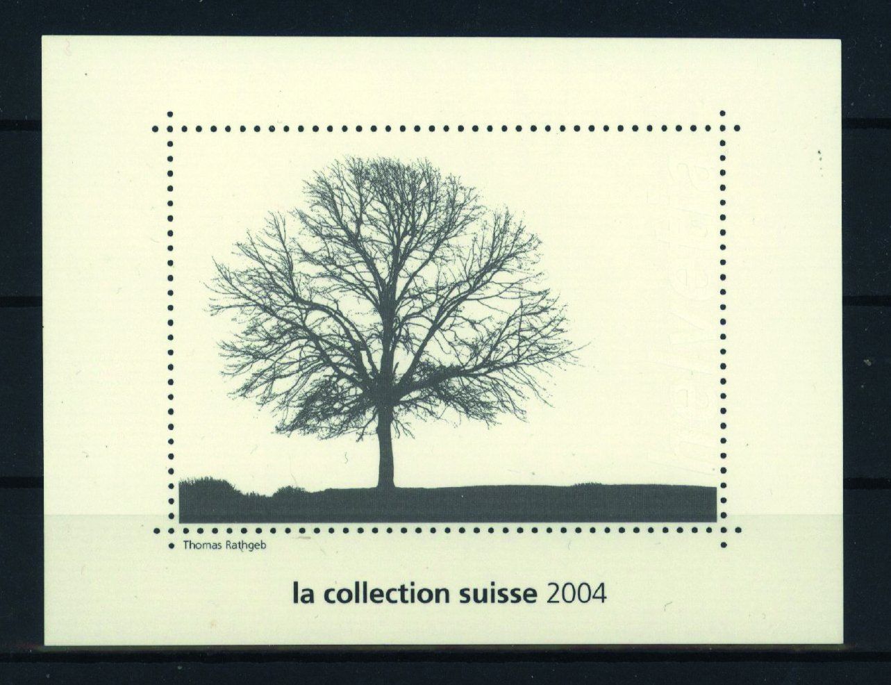 Vignette autostradali: 2004, ungebrauchte Vignette aus Jahresbuch ** – Usato da Willisau venduto da Vollstempel