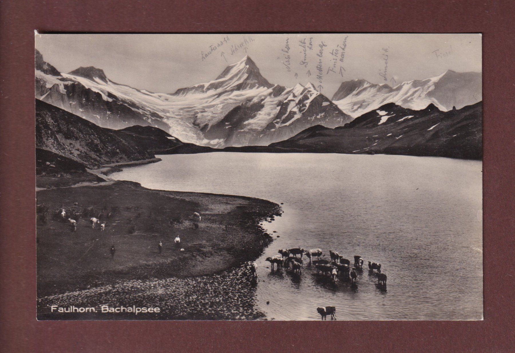 Cartoline postali: FAULHORN - Bachalpsee – Usato da Pully venduto da nicecards-shop