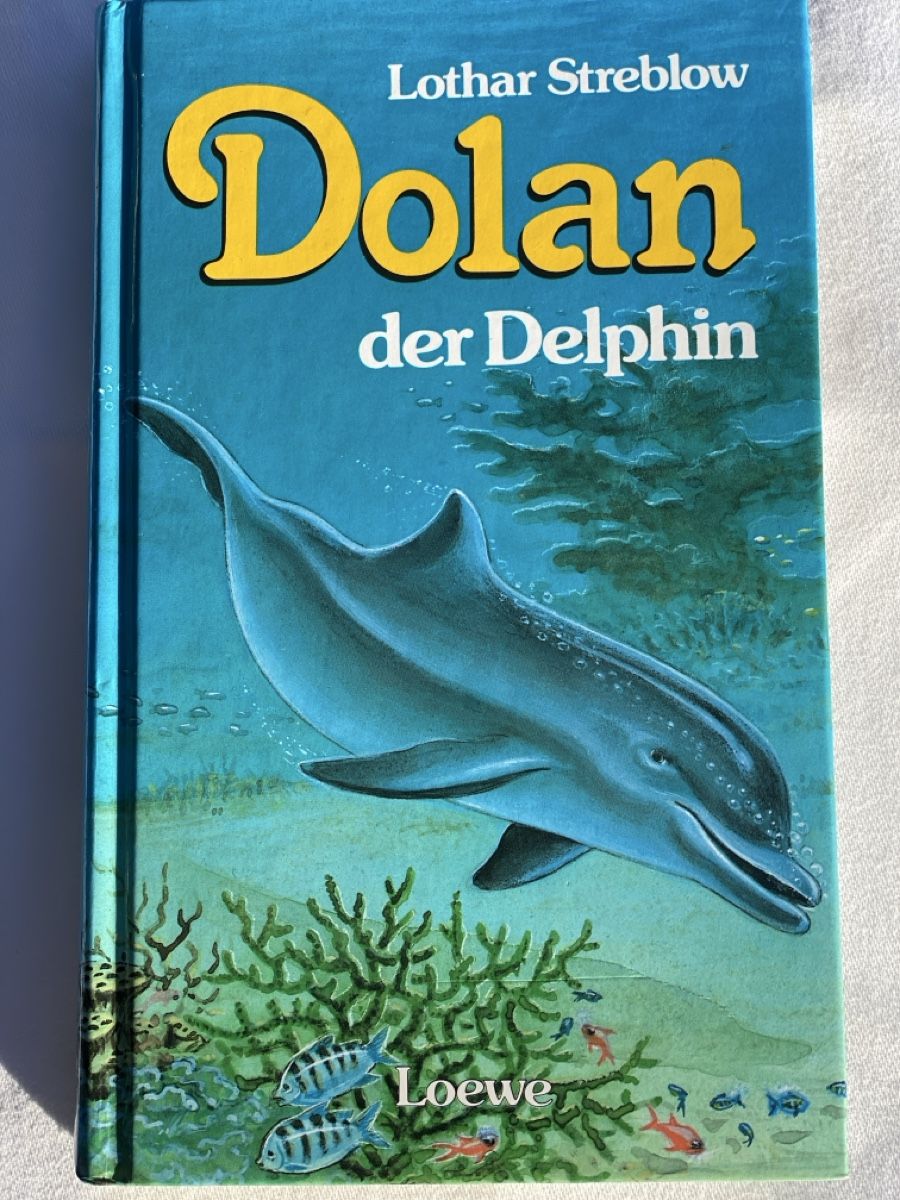 Bücher: Astrid Lindgren: Ronja Räubertochter - Jugendbuch Klassiker – Gebraucht aus Brütten von Acutis2006 7