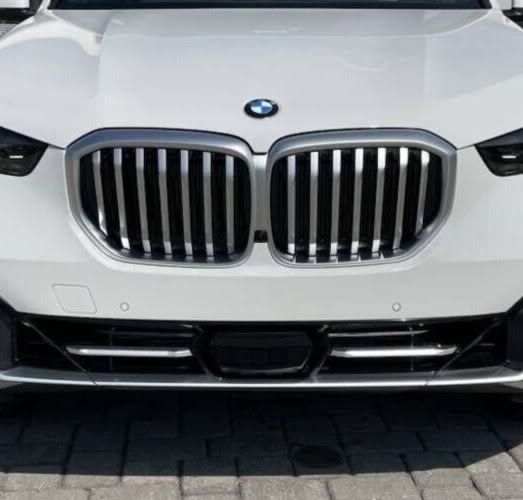BMW Tutti pezzi di ricambio auto: Grill / BMW Niere silber X5 – Usato da Küsnacht ZH venduto da Studjus 2