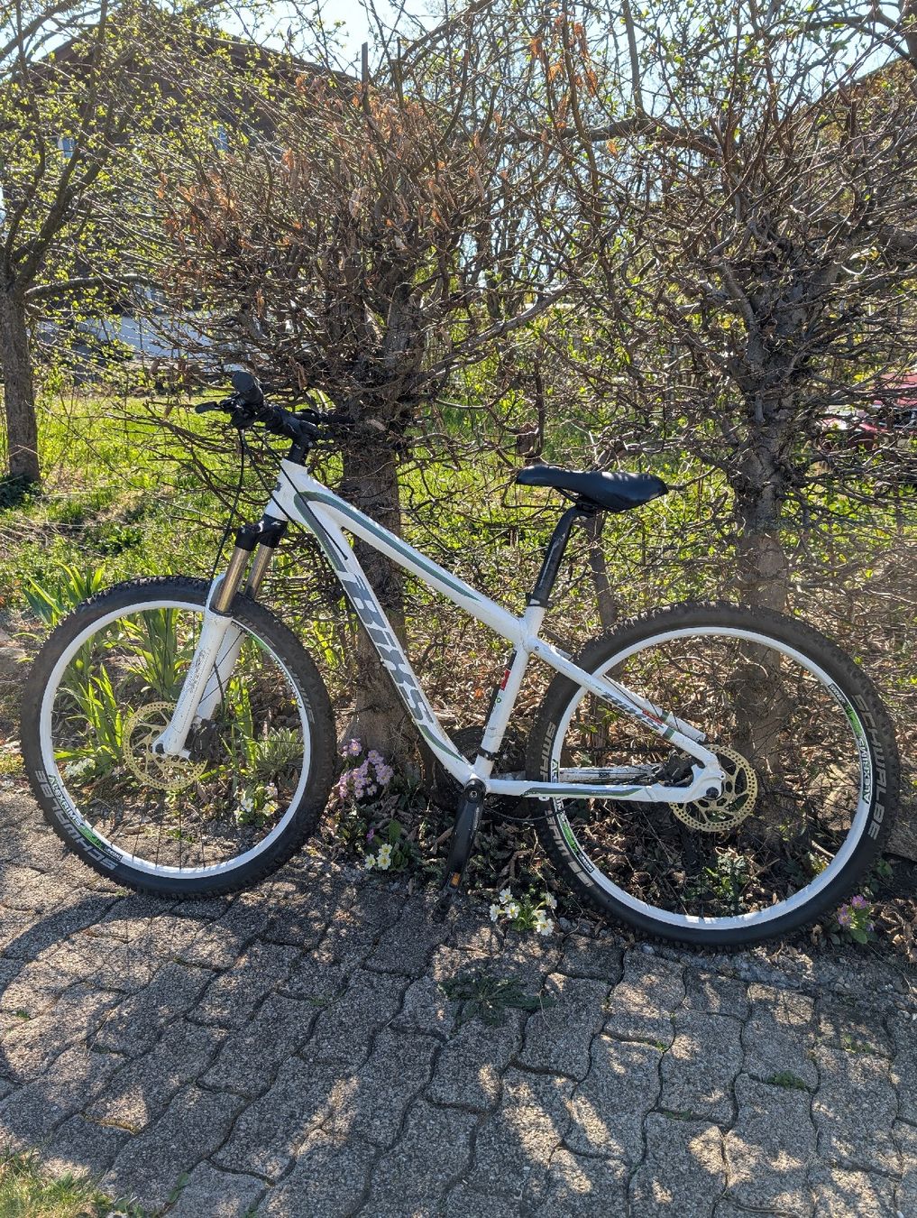 Bixs Velos: Mountainbike – Gebraucht aus Schwanden GL von nadine_gl 2