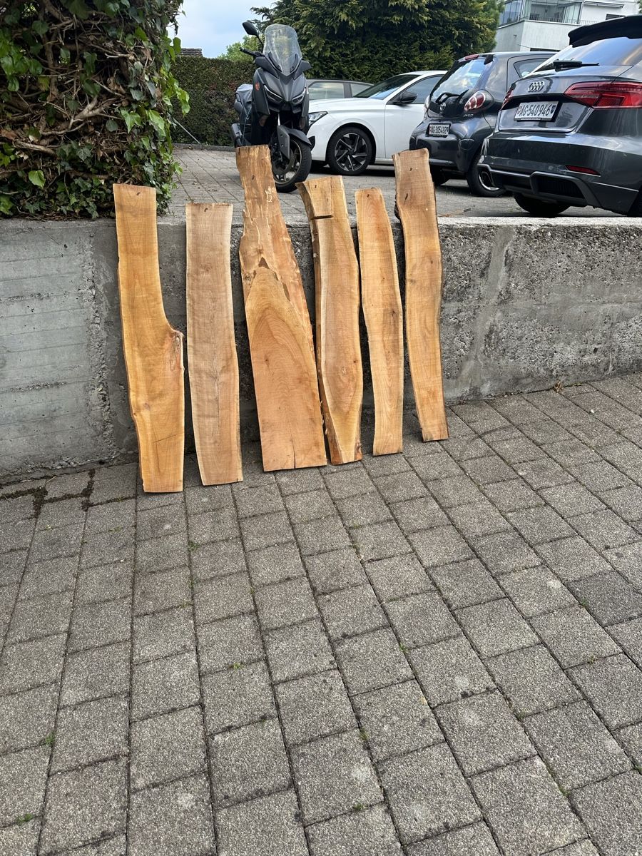 Articoli in legno: 6stk KischbaumBretter – Nuovo (secondo la descrizione) da möhlin venduto da platzsimo 2