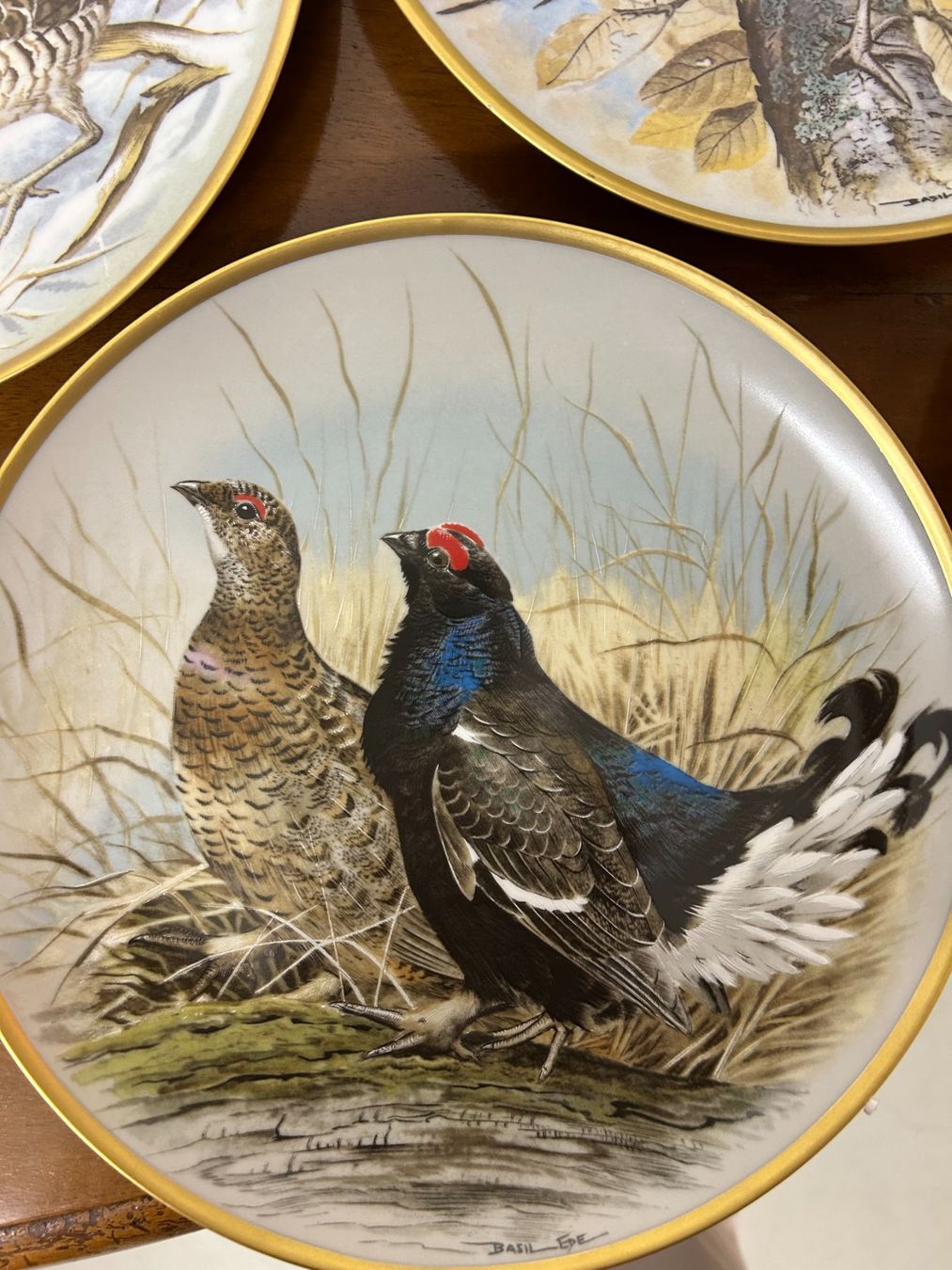 Teller: Les Oiseaux Sauvages Du Monde – Neu (gemäss Beschreibung) aus Gümligen von chrigirici 2