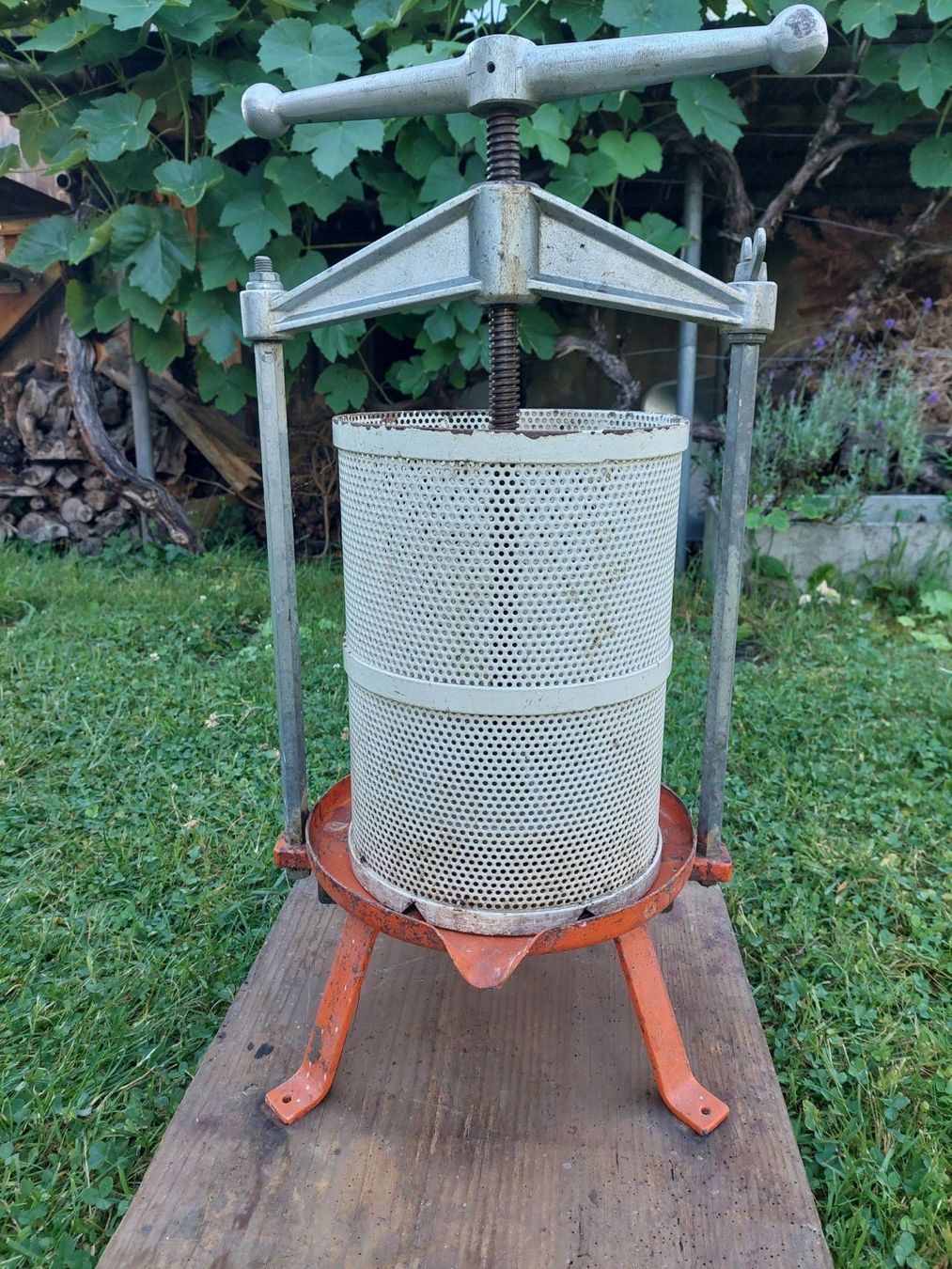 Elettrodomestici da cucina: Weinpresse, Fruchtpresse – Usato da Lenzburg venduto da Silaschaf