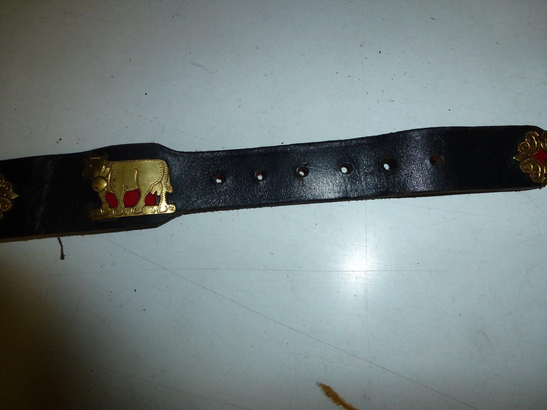 Campanacci mucche: Hundehalsband – Usato da Bürglen UR venduto da daisyxy5 2