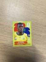 Panini FIFA WC RSA 15