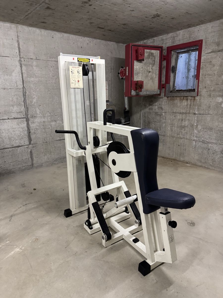 Hometrainer: Technogym Rudergerät – Usato da Oberwil BL venduto da enn_96dc