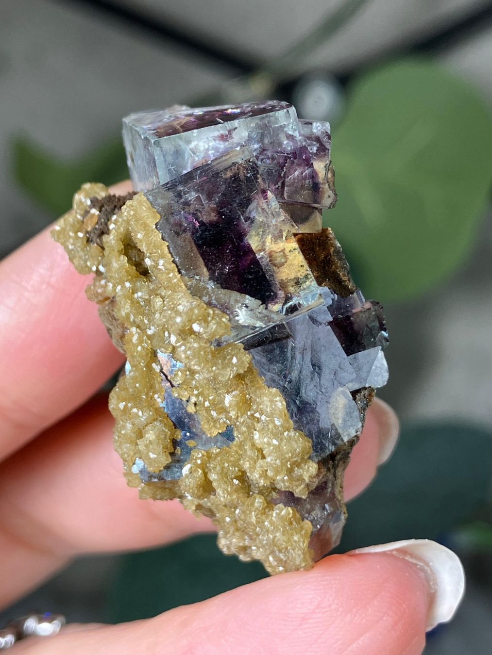 Edelsteine: Inner Mongolia Fluorit – Neu (gemäss Beschreibung) aus Neuheim von m.hald 1