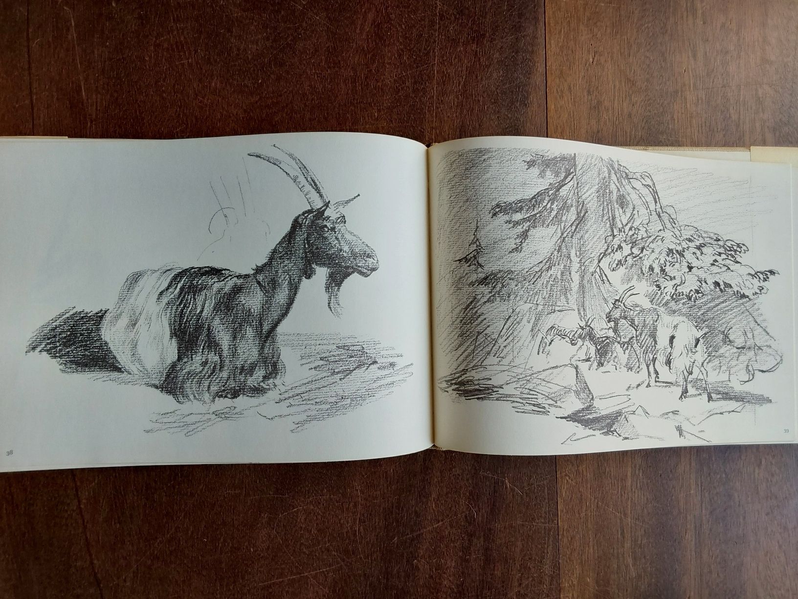 Livres: Rudolf Koller 1966 mit 50 Seiten. – D'occasion à Steinach par Chilli1957 8