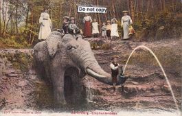 Zürichberg  ZH  -   Elephantenbach     um 1907