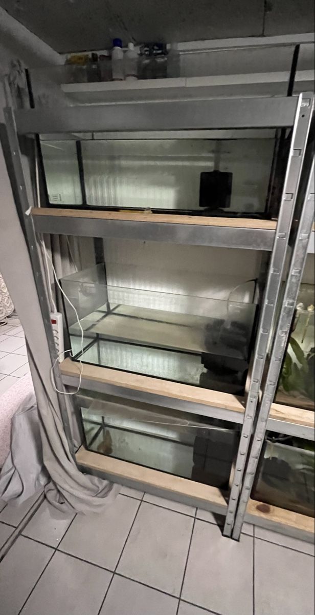 Aquarium: Aquarienregal Zuchtanlage (3 Becken + 3 Luftfilter) – Gebraucht aus Merenschwand von vin_p6jy 2